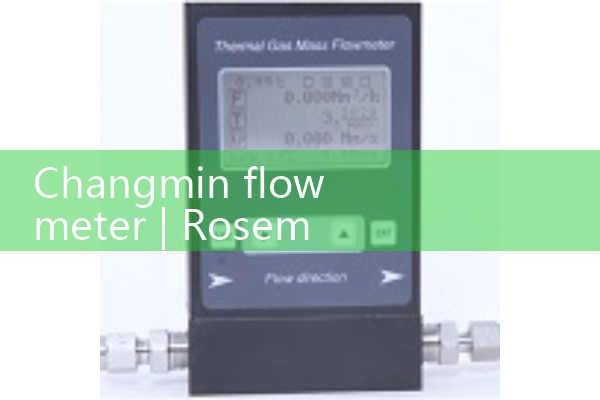 Changmin flowmeter